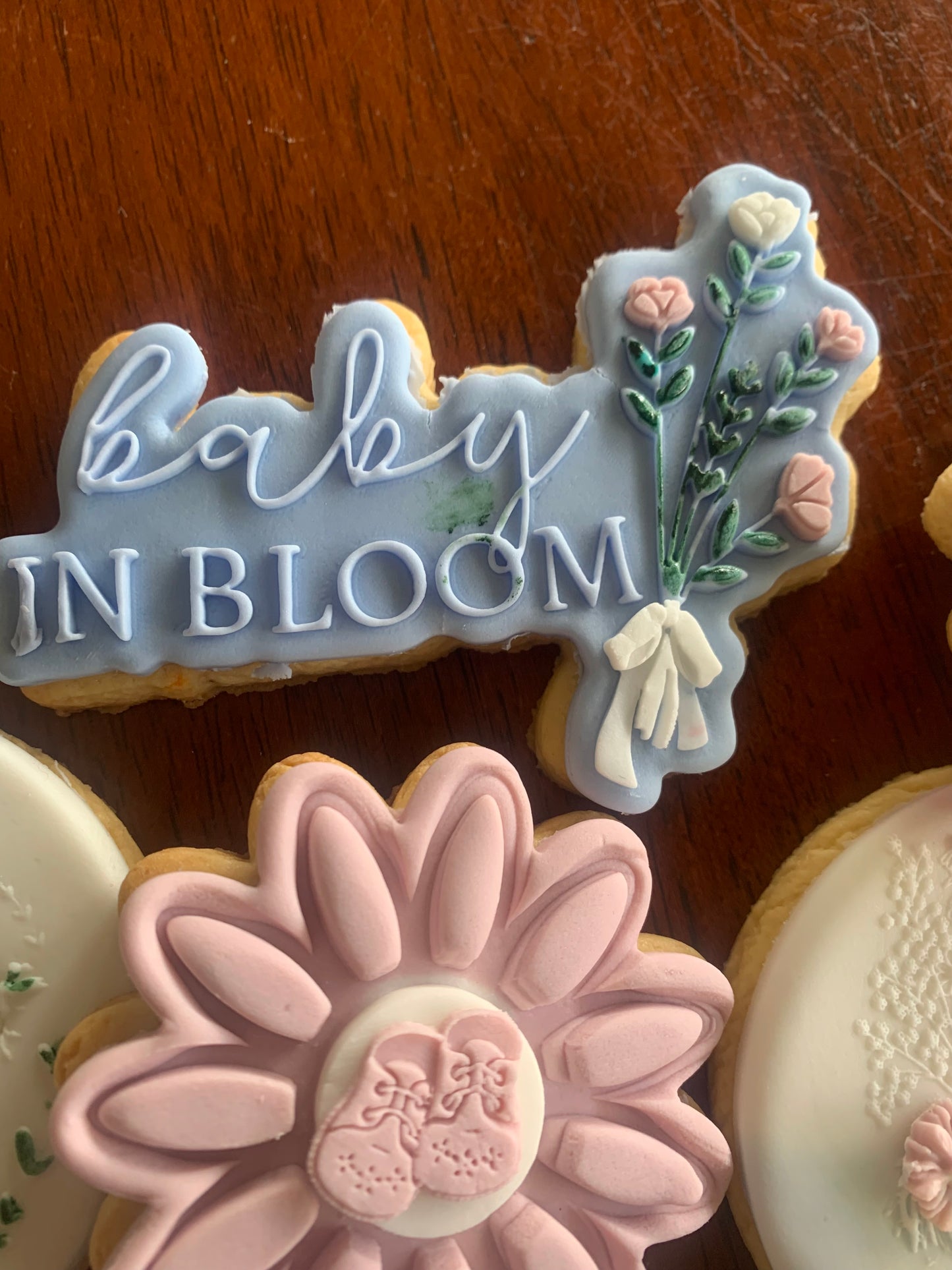 Baby in Bloom