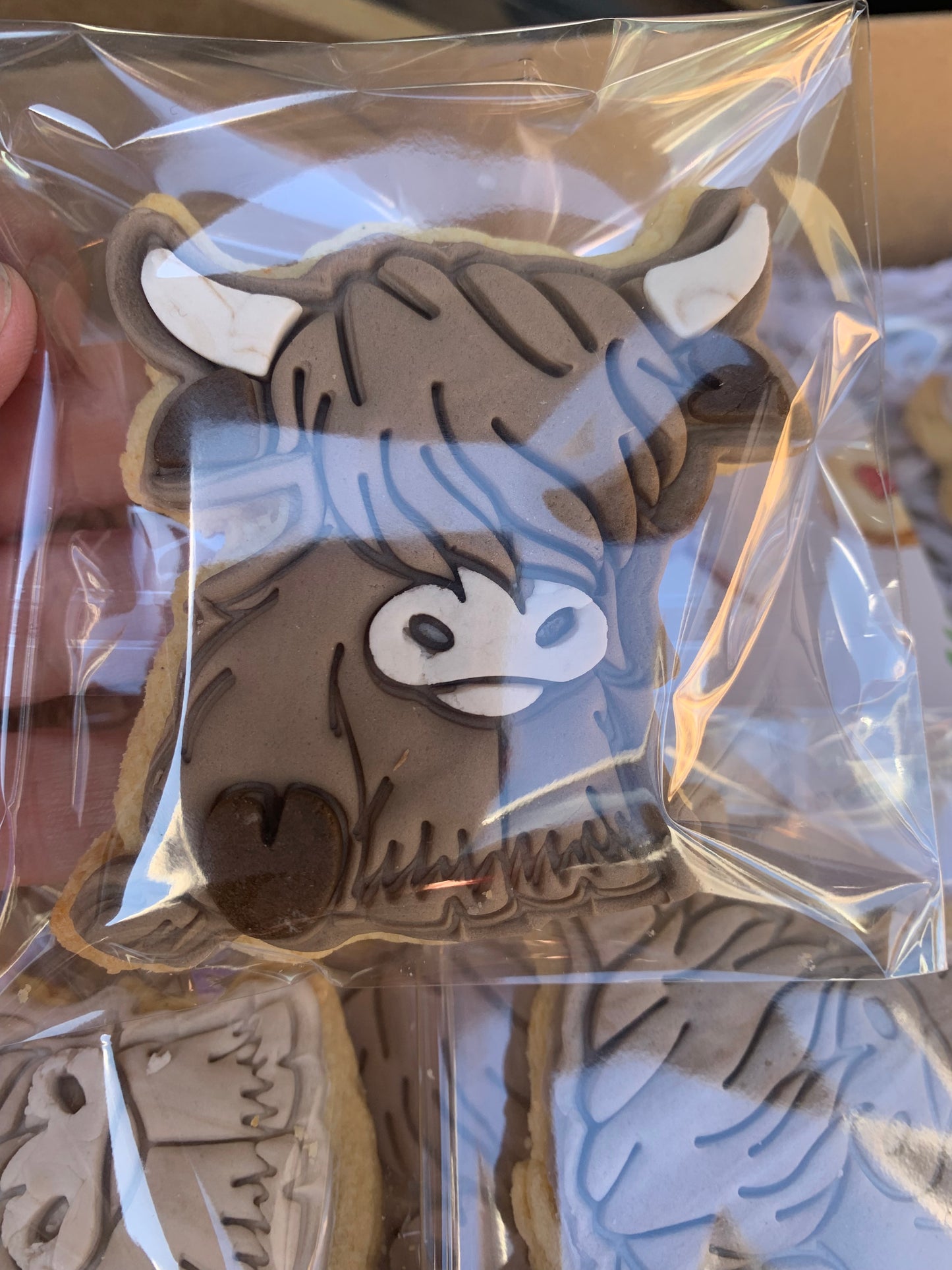 Highland cow cookies