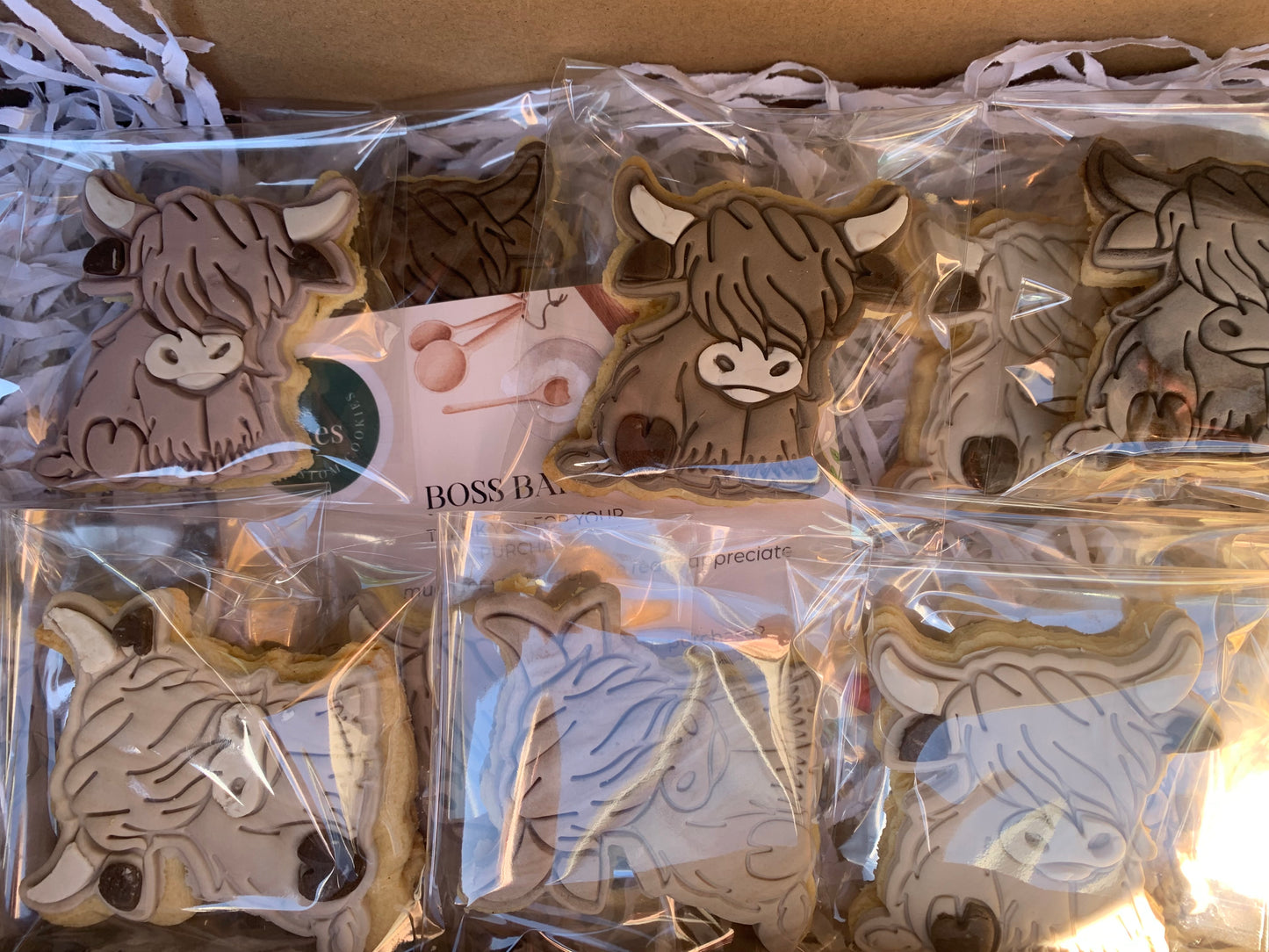 Highland cow cookies