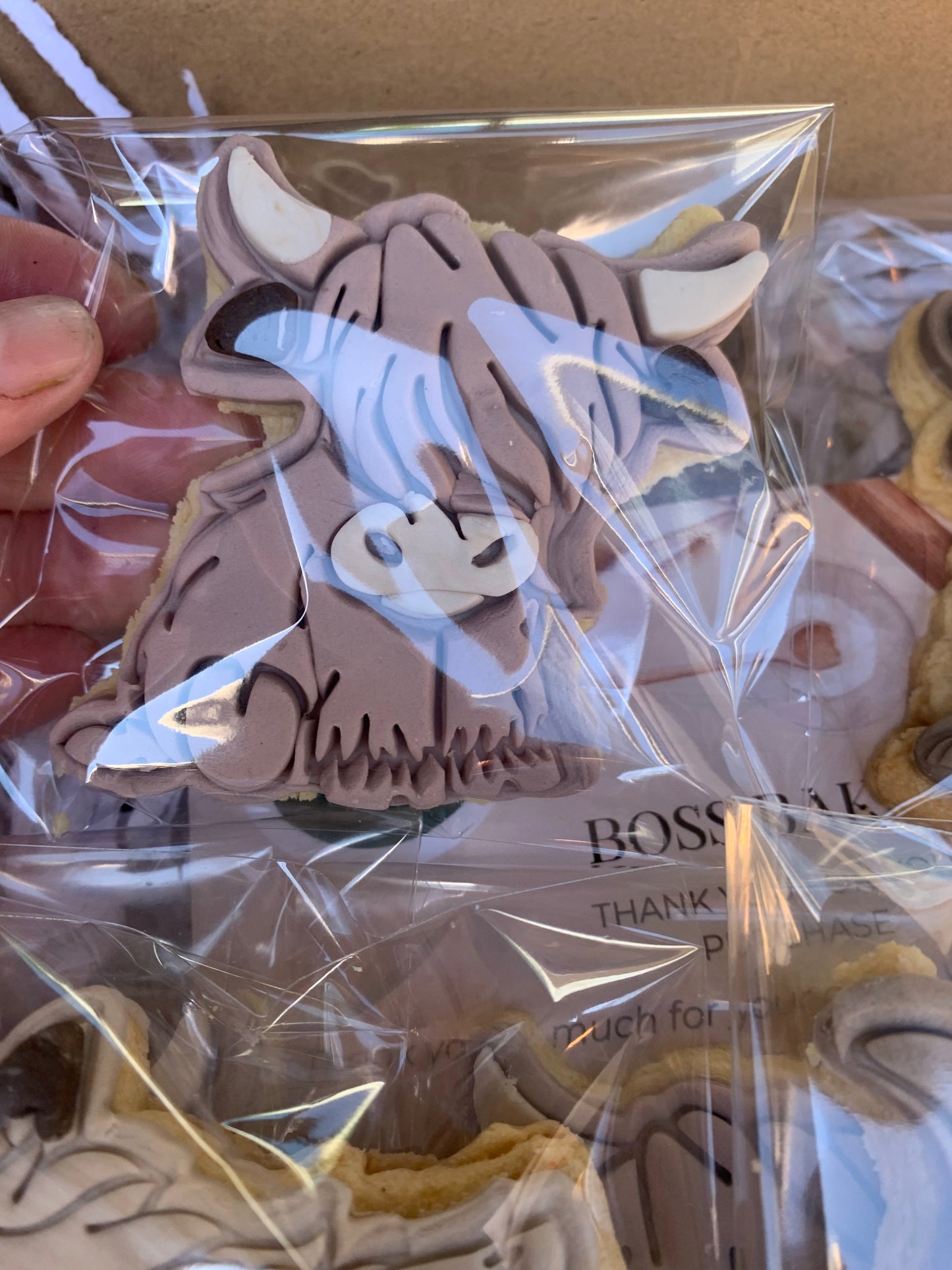Highland cow cookies