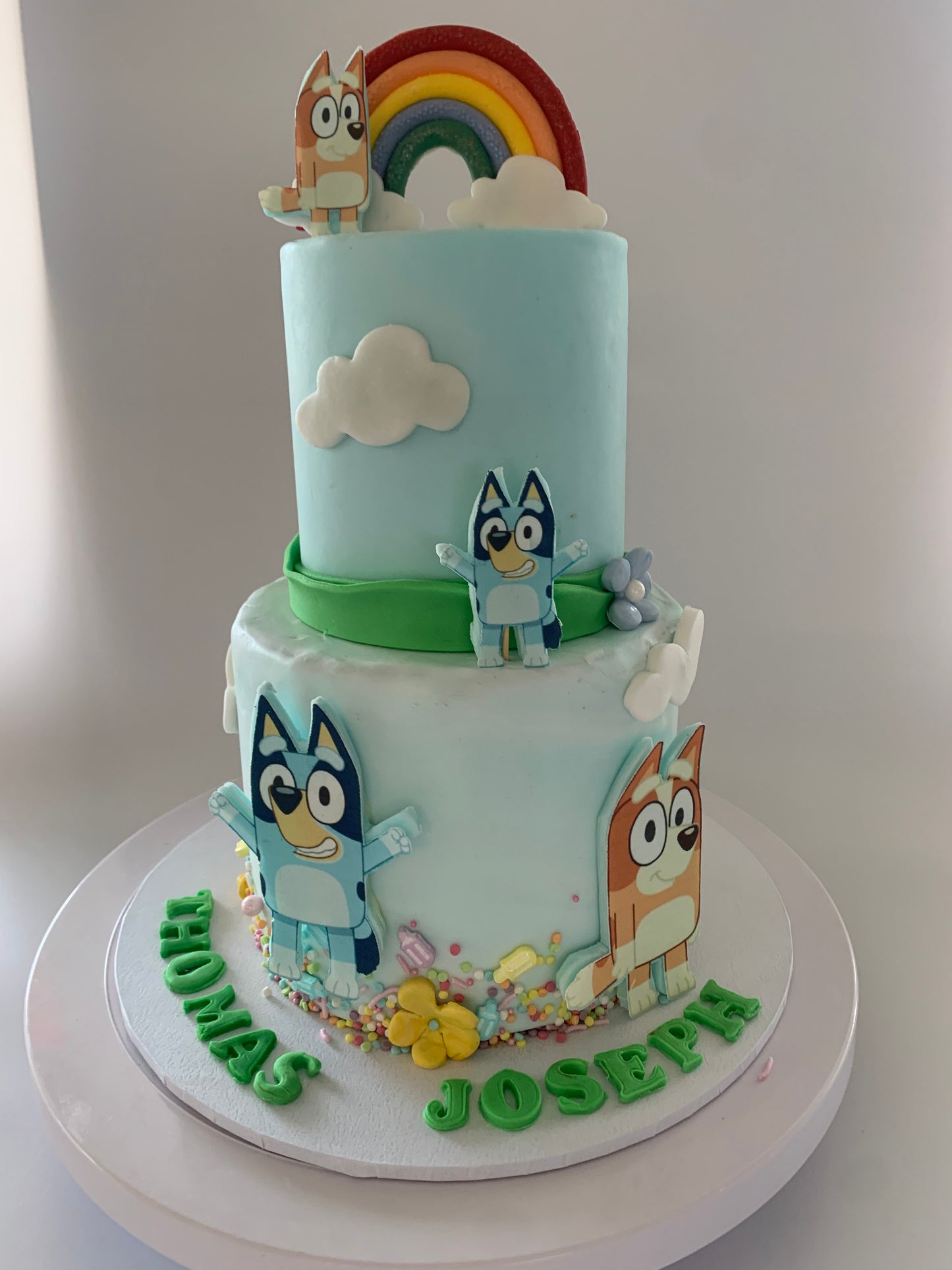 Bluey cake