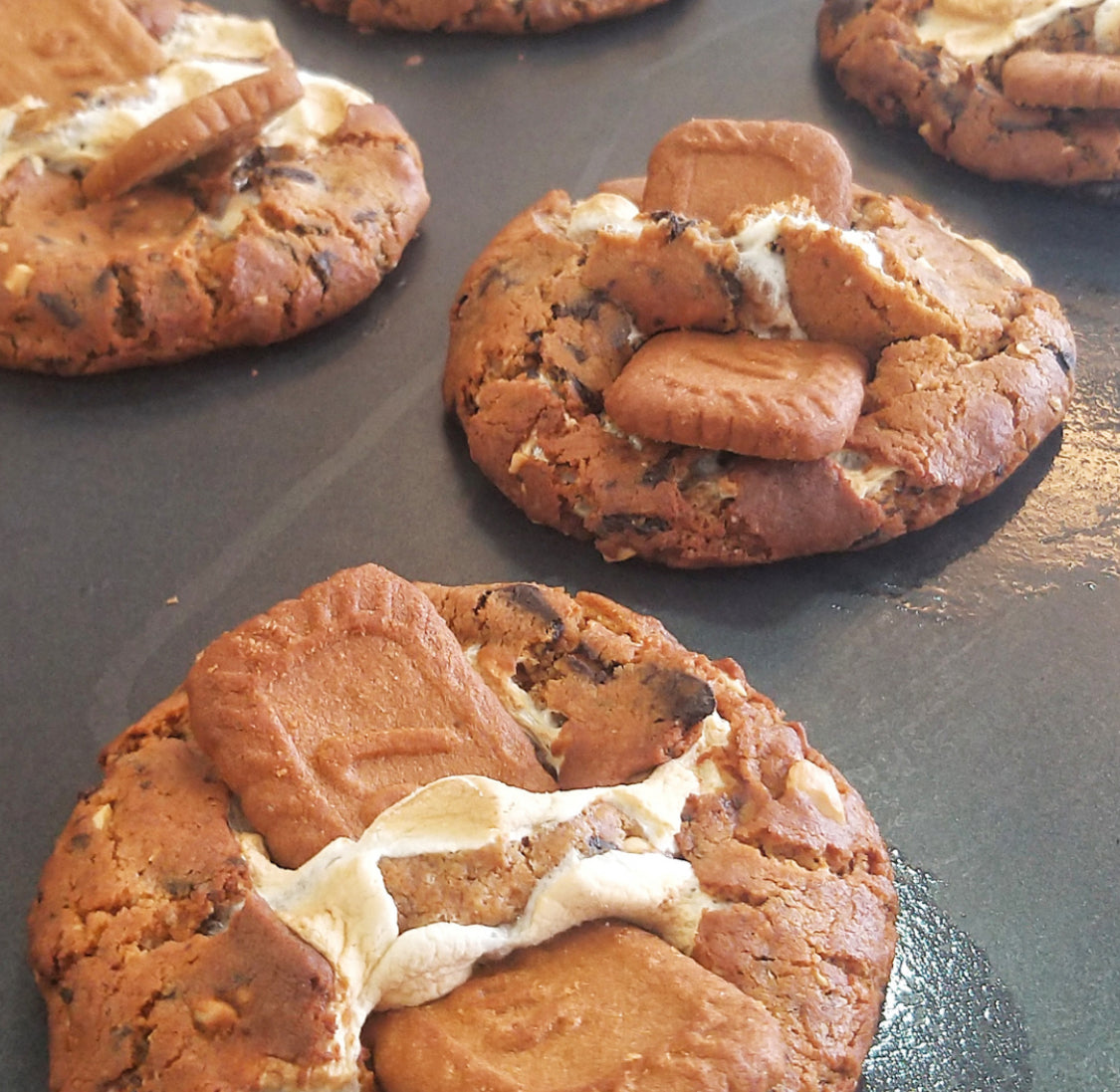 Biscoff gourmet cookies