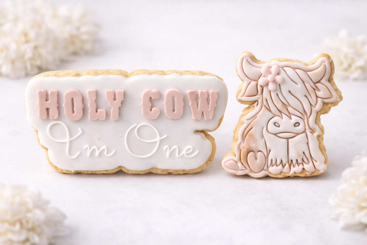 Holy Cow I’m One Cookies | Highland Cow First Birthday Cookies